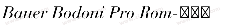 Bauer Bodoni Pro Rom字体转换